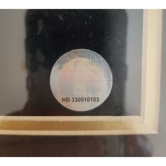 Lebron James 2013 Miami Heat Framed Photo Print - Picture 5 of 8